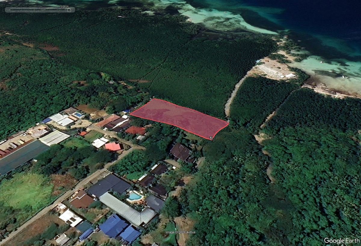 Google Earth view of a lot outlined in red at the edge of a mangrove forest, with the shoreline beyond and houses below