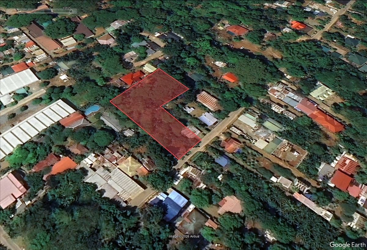 Google Earth view of an L-shaped property outlined in red among houses and trees, with a road along one side